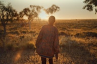 A person with their back turned, wearing a patterned jacket, walking in an open field at sunset. The warm sunlight filters through scattered trees, casting a golden glow over the dry grass and landscape.